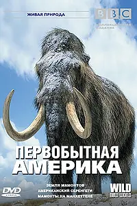 Постер к фильму «BBC: Первобытная Америка (2002)»