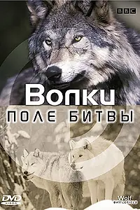 Постер к фильму «BBC: Поле битвы: Волки (2002)»
