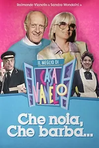 Постер к сериалу «Casa Vianello (1988 - 2007)»