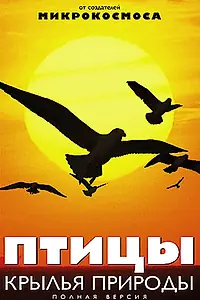 Главный постер сериала «Птицы: Крылья природы (2002)»