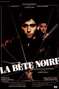 Главный постер фильма «Темная лошадка (1983)»