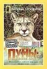Главный постер фильма «Пумы: Львы Анд (1996)»