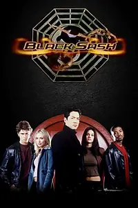 Постер к сериалу «Черный пояс (2003)»