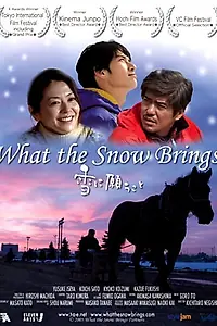 Главный постер фильма «Что приносит снег (2005)»