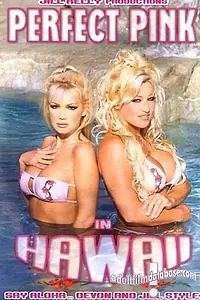 Главный постер фильма «Горячие штучки на Гавайях (2001)»