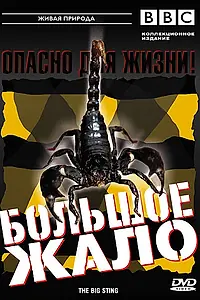 Постер к фильму «BBC: Большое жало (2004)»