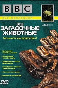 Главный постер сериала «BBC: Эти загадочные животные (2002)»