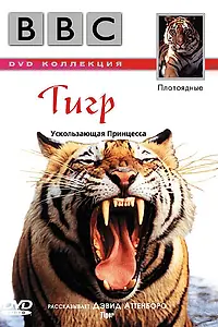 Постер к фильму «BBC: Тигр (1999)»