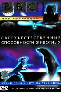 Главный постер фильма «BBC: Сверхъестественные способности животных (1999)»