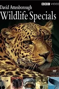 Главный постер сериала «Живая природа: Специальные выпуски (1995)»