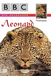 Постер к фильму «BBC: Леопард (1999)»