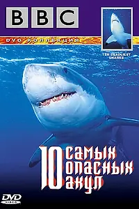 Главный постер фильма «BBC: 10 самых опасных акул (2001)»
