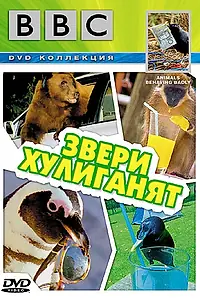 Постер к фильму «BBC: Звери хулиганят (2004)»