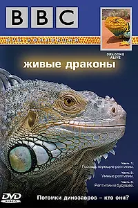 Постер к фильму «BBC: Живые драконы (2004)»