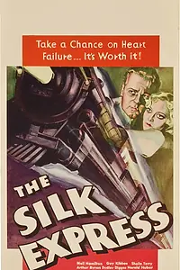 Постер к фильму «The Silk Express (1933)»