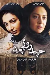 Постер к фильму «Несколько дней спустя (2006)»