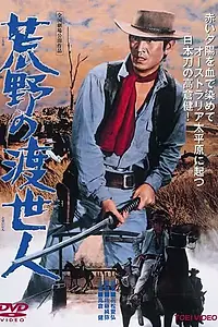 Главный постер фильма «Странствующий мститель (1968)»
