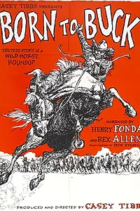 Главный постер фильма «Рождены чтобы сопротивляться (1966)»