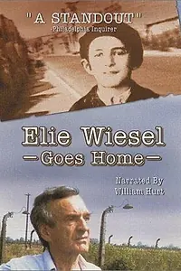 Главный постер фильма «Mondani a mondhatatlant: Elie Wiesel üzenete (1996)»