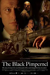 Главный постер фильма «Черная гвоздика (2007)»
