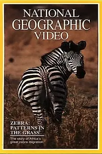 Постер к фильму «Zebras: Patterns in the Grass (1991)»
