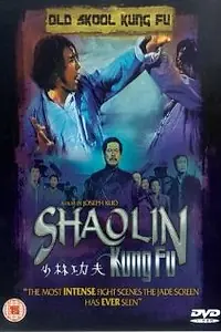 Постер к фильму «Тайное боевое искусство Шаолиня (1994)»