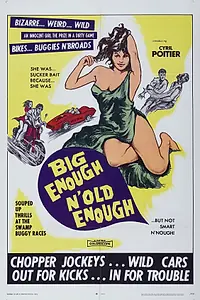 Постер к фильму «Бунтари из ада (1968)»
