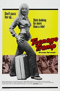 Постер к фильму «Подросток-бродяга (1973)»