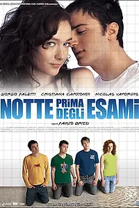 Постер к фильму «Ночь накануне экзаменов (2006)»