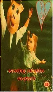 Главный постер фильма «Smashing Pumpkins: Vieuphoria (1994)»