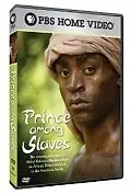 Постер к фильму «Prince Among Slaves (2007)»