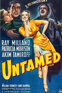 Постер к фильму «Неукротимый (1940)»