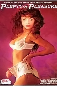 Главный постер фильма «Plenty of Pleasure (1990)»