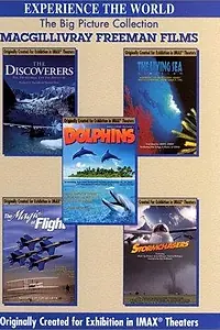 Постер к фильму «Dolphins: The Ride (1997)»