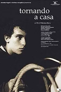 Главный постер фильма «Возвращаясь домой (2001)»