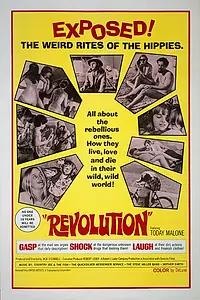 Постер к фильму «Революция (1968)»