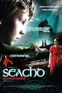 Постер к фильму «Сичд — недостижимая вершина (2007)»