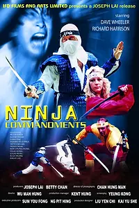 Главный постер фильма «Заповеди ниндзя (1987)»