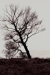 Главный постер фильма «Разрушенный берег (1992)»