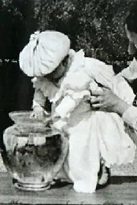Главный постер фильма «Вылавливание красных рыбок (1895)»