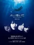 Главный постер фильма «Водяной цветок (2006)»