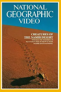 Постер к фильму «The Living Sands of Namib (1978)»