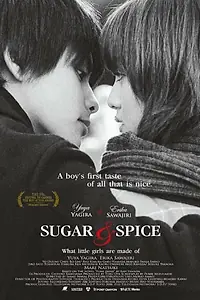 Постер к фильму «Сахар и перец (2006)»