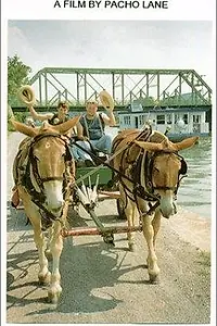 Главный постер фильма «Along the Erie Canal (1998)»