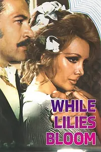 Главный постер фильма «Zambaklar Acarken (1973)»