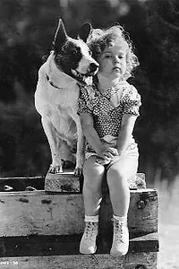 Постер к фильму «The Pie-Covered Wagon (1932)»