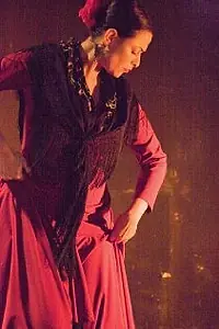 Постер к фильму «Red Phoenix (2006)»
