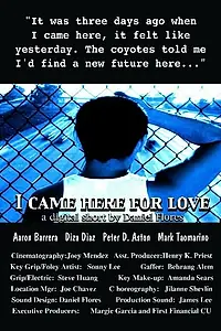 Постер к фильму «I Came Here for Love (2003)»