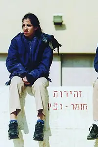 Главный постер фильма «Наследница (2006)»