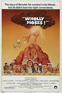 Главный постер фильма «Всё о Моисее (1980)»